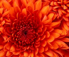 이미지광고 글쓰기